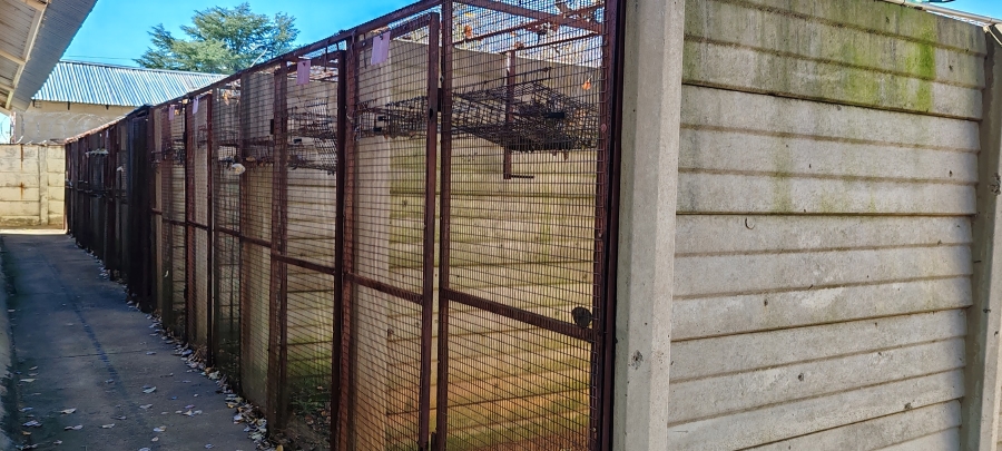 5 Bedroom Property for Sale in Vredefort Free State